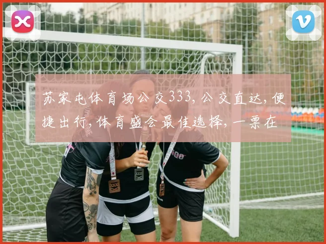 苏家屯体育场公交333,公交直达,便捷出行,体育盛会最佳选择,一票在手,畅享运动盛宴。