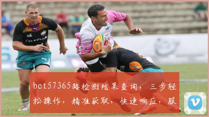 bet57365路检测结果查询，三步轻松操作，精准获取，快速响应，服务无忧，三个关键点必看