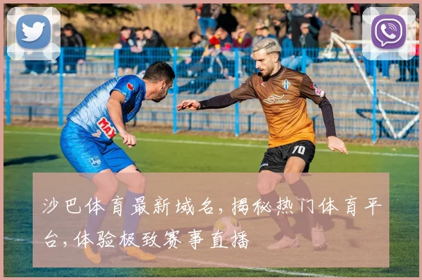 沙巴体育最新域名,揭秘热门体育平台,体验极致赛事直播