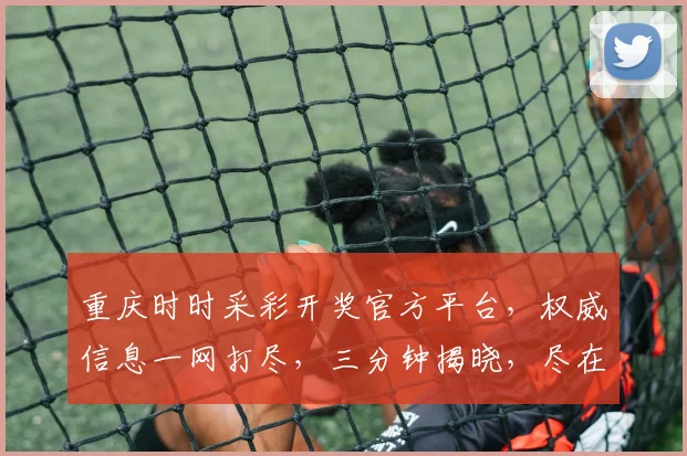 重庆时时采彩开奖官方平台，权威信息一网打尽，三分钟揭晓，尽在掌握